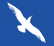 cape-air