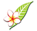 lao-aviation