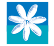 air-tahiti-nui